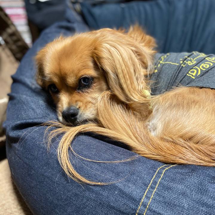 Fe1e4ff1 ebfe 4190 8199 63b9a439d194 1576792983050