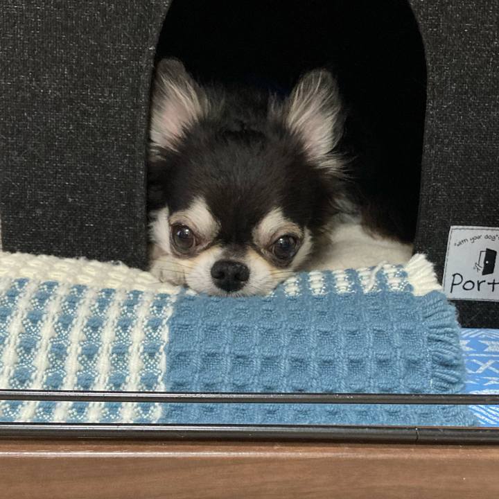 Fe1e5c67 1c0c 4205 88c7 f0faac7957c5 1688834844225