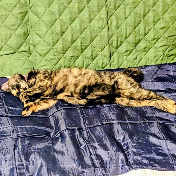 Fe1e8e3b aead 429b 8b78 5299b4e7833d 1763473149086