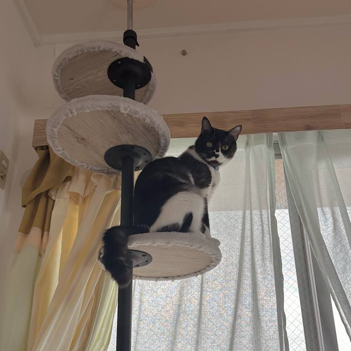 Fe1ed59f 5658 4272 a47e 955af354cff4 1774919952008