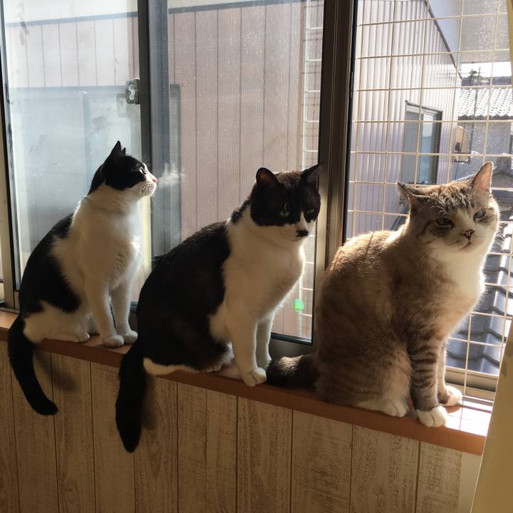 Fe1edd11 f7ae 4f1c 87fe e9a10a65beea 1550753205718