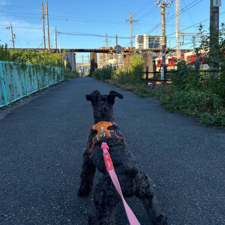 Fe1f3df3 298d 4bfe b562 e06284253f51 1757111095223