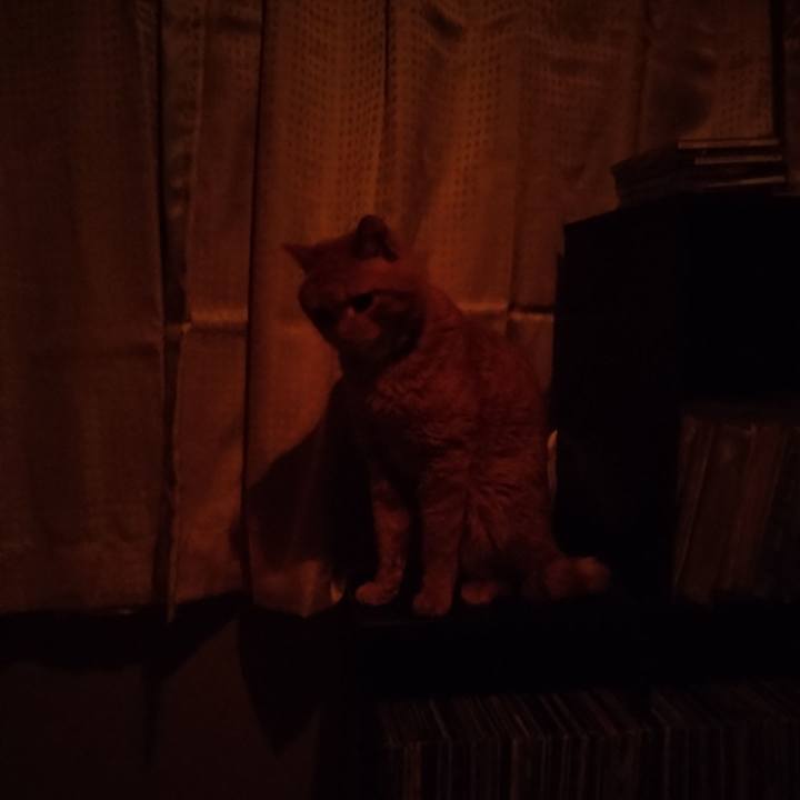 Fe1f58a4 ccc3 4548 a68e 428efa720b6d 1672441915139