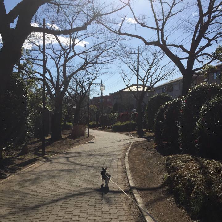 Fe1fa607 e01c 4801 ba21 1ebf9dcbc9aa 1514971974043