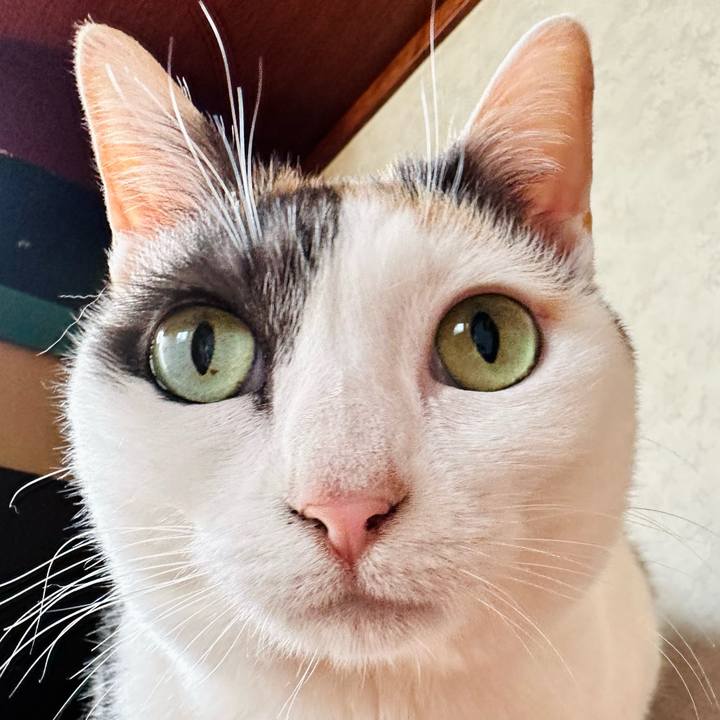 Fe1fa6a9 b98e 4b57 b335 6847a8320872 1685409937008