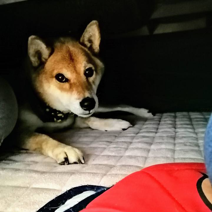 Fe1fb5df 839b 4638 bf82 04549ab27c4d 1604318479204