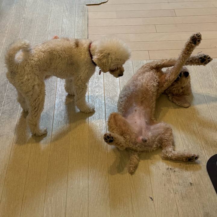 Fe1fe88f 92c2 45b9 a4b8 66faa9c0ba61 1761919365493