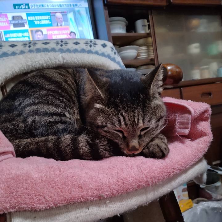 Fe2019d0 0e28 4a11 8cdf b49827be213e 1679006456462