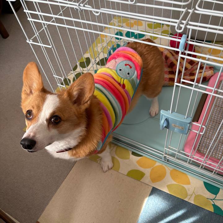 Fe205b7d e93c 4b02 aed0 a4f42ca96b9d 1773462828710