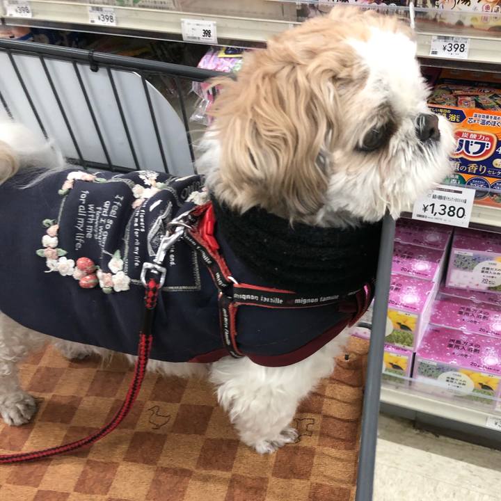 Fe2062aa 5334 42e6 8e6d 2f689b047bc1 1583703875780