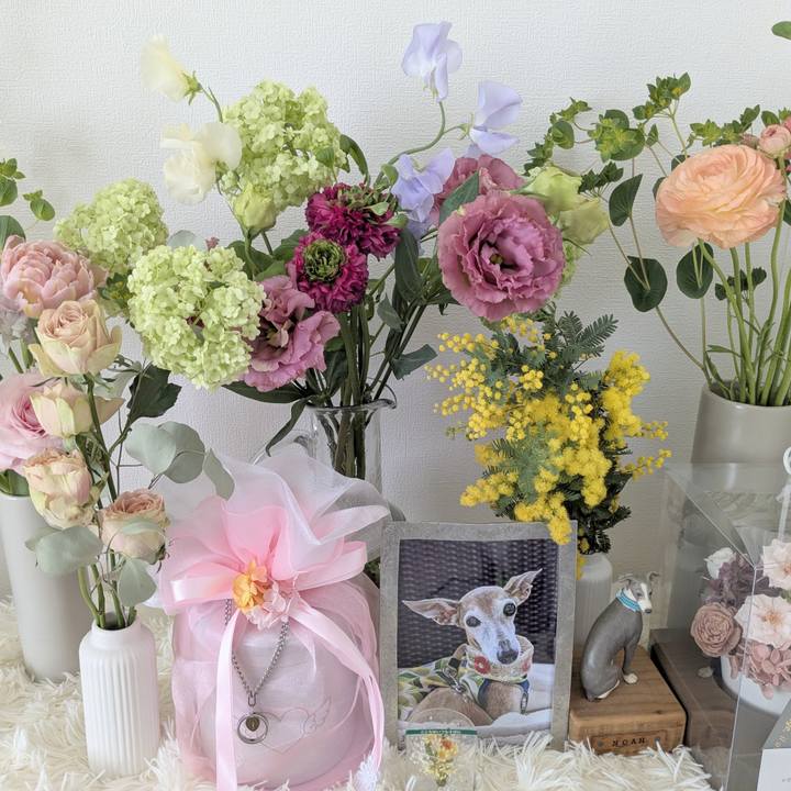 Fe2083ec aa76 476c 949b 9c6fcd91b187 1771755701541