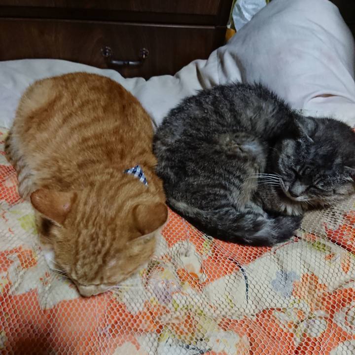 Fe2095fc 4580 4a97 88be 82355e887217 1568899187787