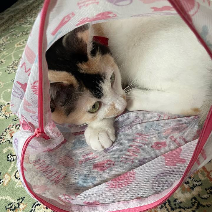 Fe2097db ce56 4058 8715 4875278d62f3 1724290571736