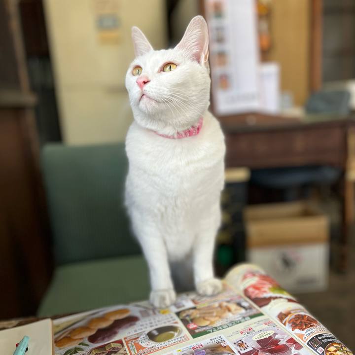 Fe20d07d 7122 4e13 b0c8 b592fe07b4f0 1769587368981