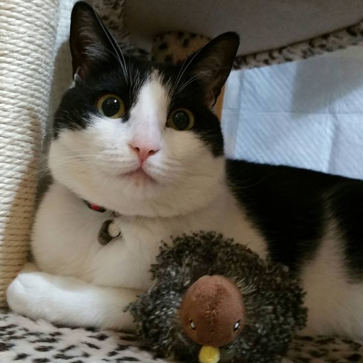 Fe20dd26 dd2b 41c1 8295 cebeefaaf3fc 1527116244607