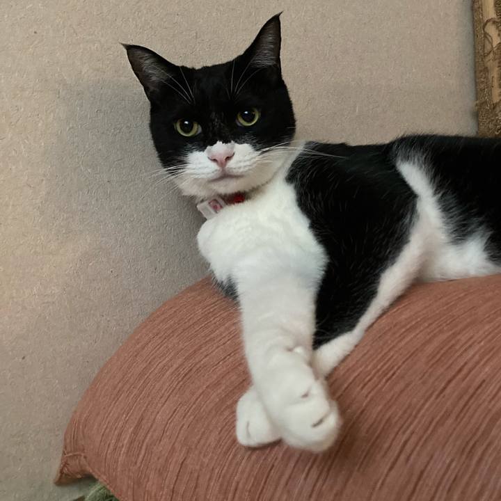 Fe21209c 68db 4b3e a449 67f162fc7a42 1630393741366