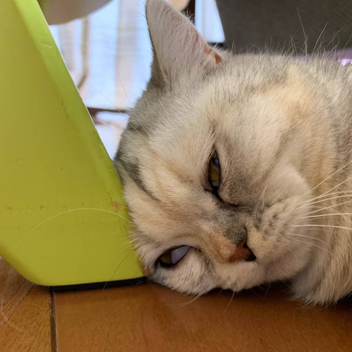 Fe218164 12c5 4fb5 8714 78edb293f68a 1709027373015