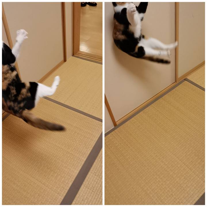 Fe2189ba 9134 4419 a919 a6bc4d4f88d4 1611631964946