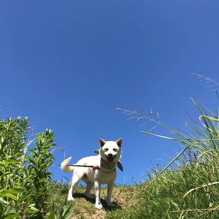 Fe21e31e 00b9 49ee ae22 b41c7812da2d 1535166252640