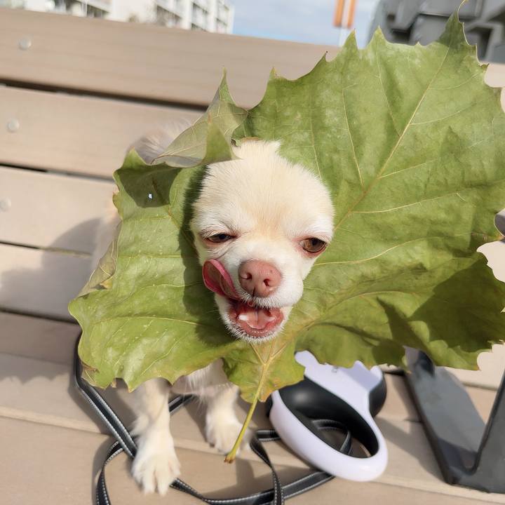 Fe22082b 9dd5 4766 9f60 4bb45932e48a 1731313196289