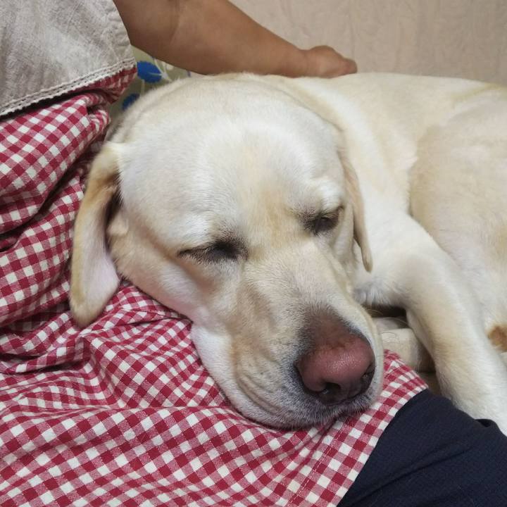 Fe222820 fcc3 48a9 97bf cb7e88bb91c2 1561289498223