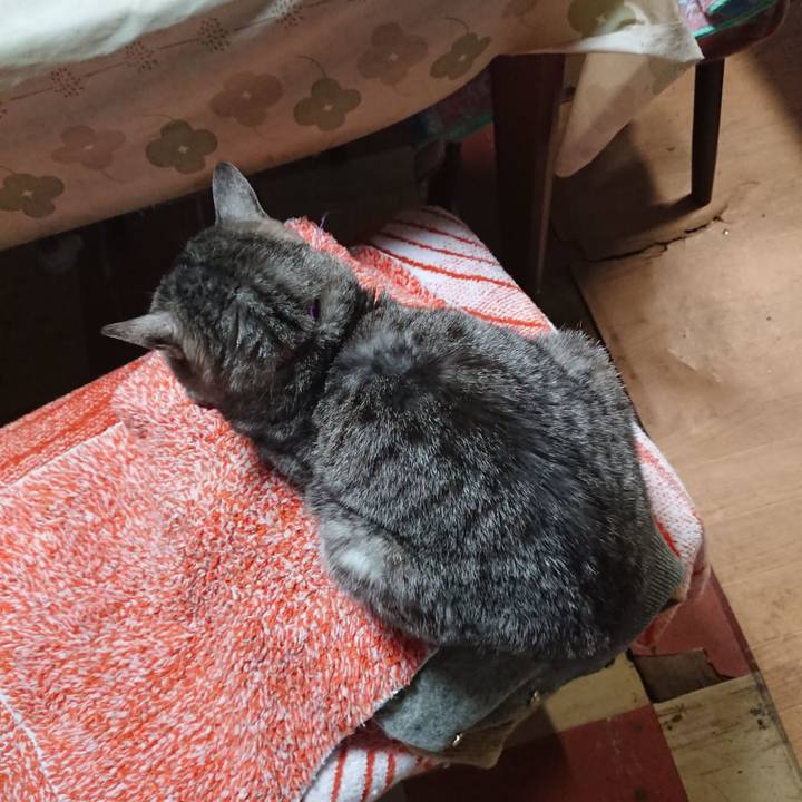 Fe224bd0 1705 4f24 bff1 f78b51a490fa 1587810401028