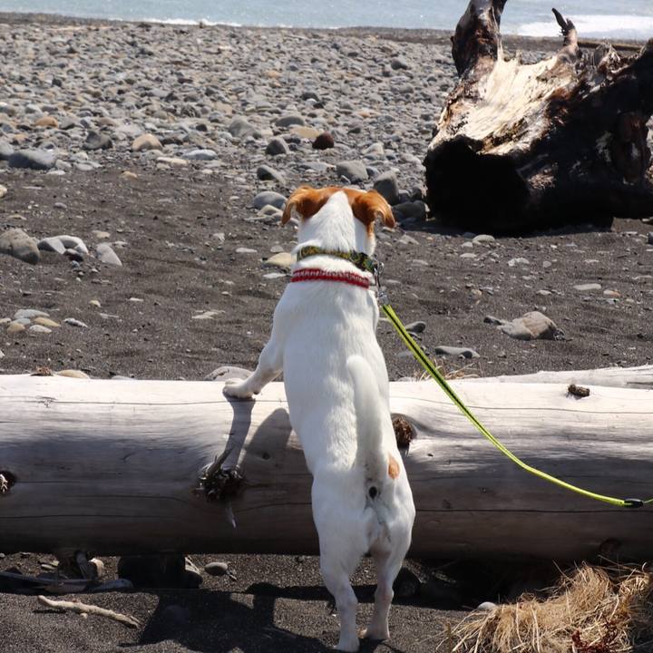 Fe225d24 981e 4fb2 8b68 4154bec927b7 1557052319533