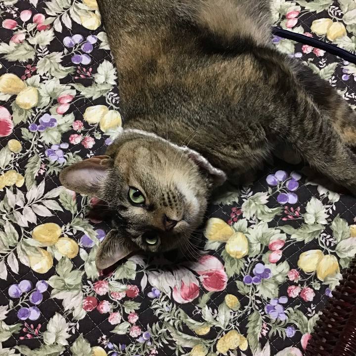 Fe2268a6 aa04 4e1d 8e0a 060d9fc81f26 1655530799316