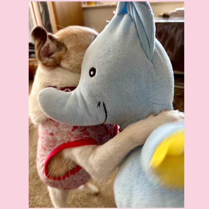 Fe226a53 f432 4162 b868 37c795865853 1688441749130