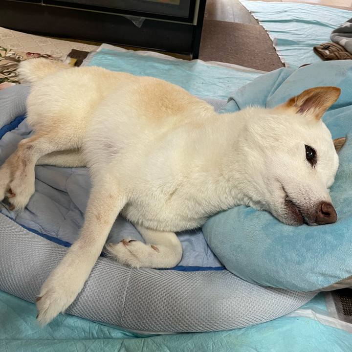 Fe228b6f f7b7 4feb 9203 c07d9131c713 1656047941283