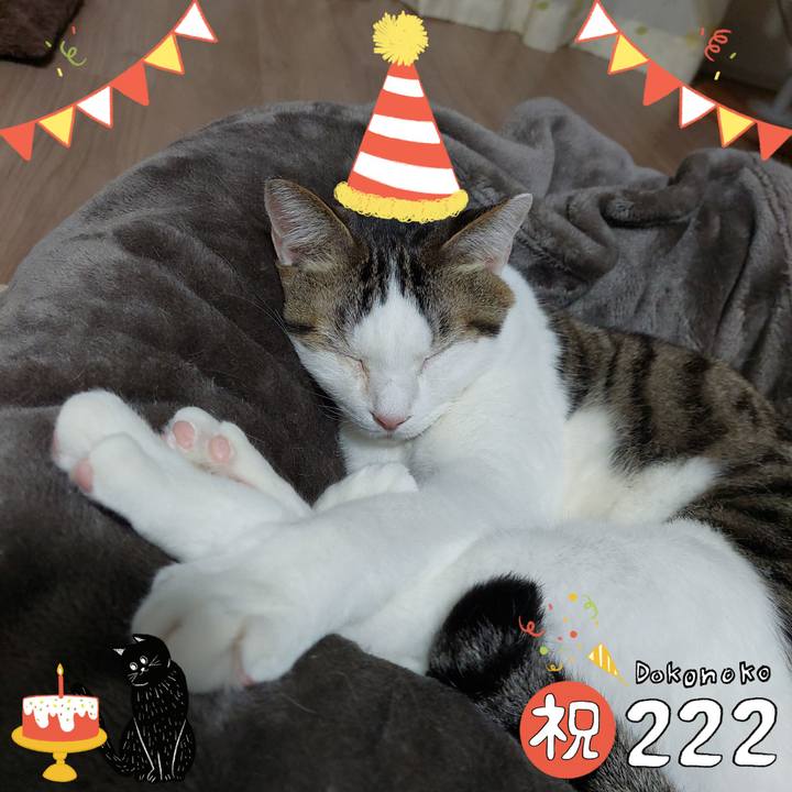 Fe229730 5869 422a af11 4812b74580f6 1645536607012