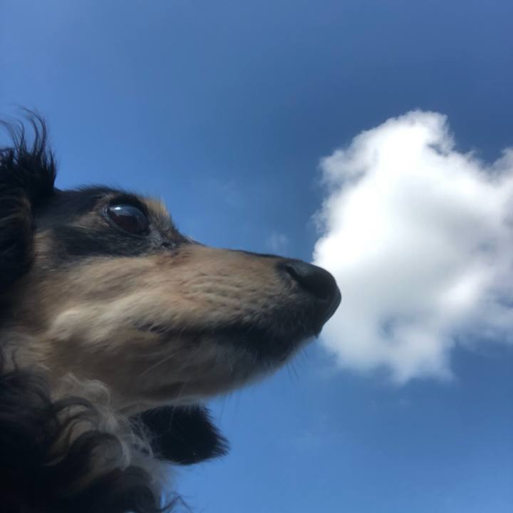 Fe22ca73 34cf 4793 89dc 3be97a21a6c7 1560385450982