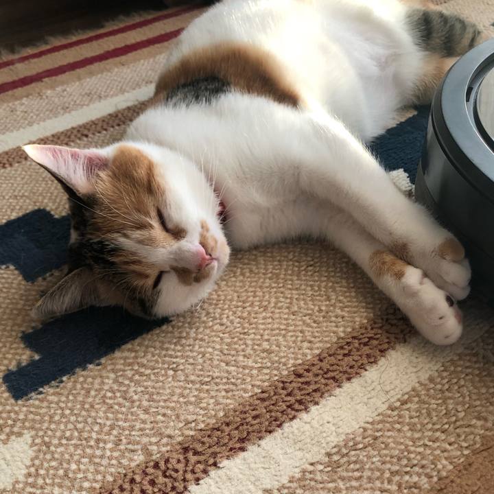 Fe22ec8c a702 4b21 ae96 4ae1b6ef919c 1575183650103