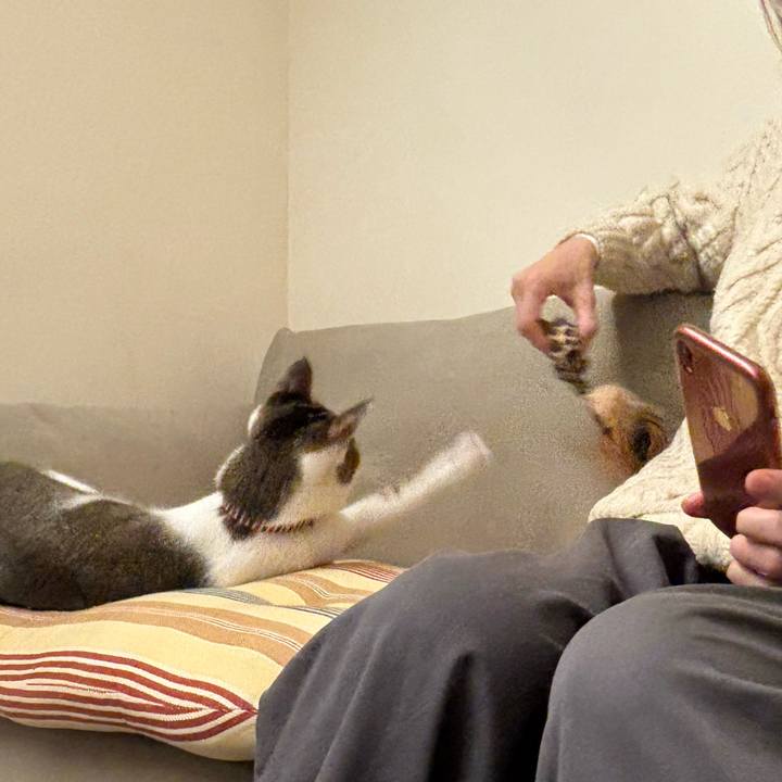 Fe230afe 9d37 4fd5 aa4e 6af58df68316 1769724780757