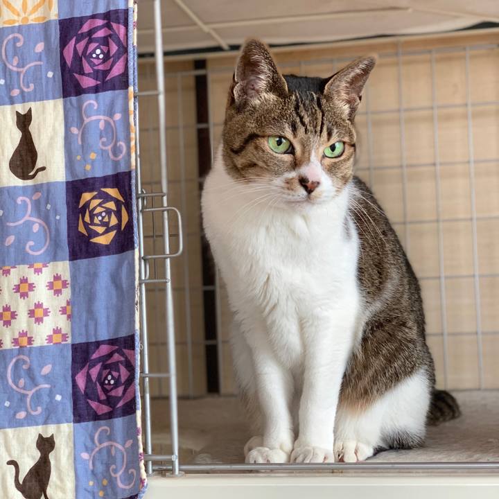 Fe2319c5 503e 4771 a137 6984489a631b 1584841522312