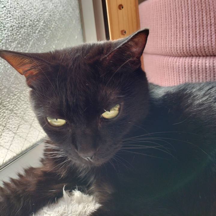 Fe23206d eb46 4389 bf60 c33c15ebe436 1661645788417