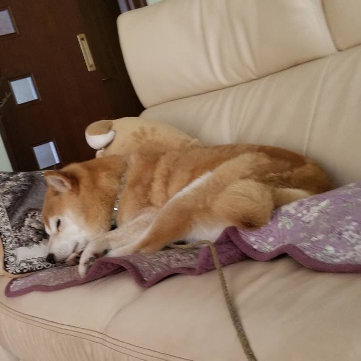 Fe23294b 3274 46e2 8581 8afad4122349 1626490005623