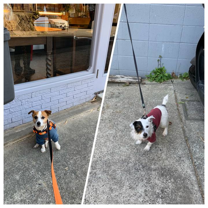 Fe233d2d 0bd2 427c a4ff 4c64e6434df3 1614409938897