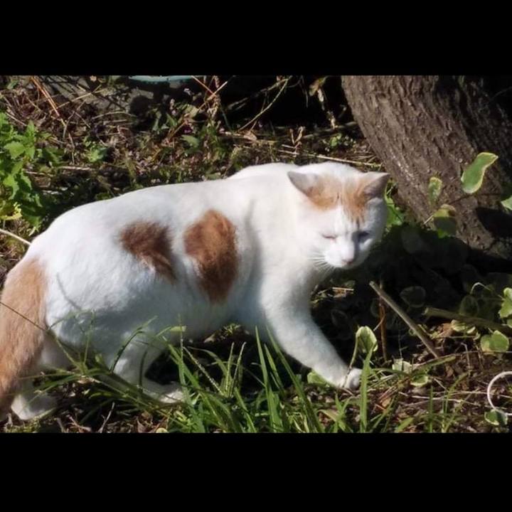 Fe2375b6 77ce 419a 8164 5f6018361244 1635224624312