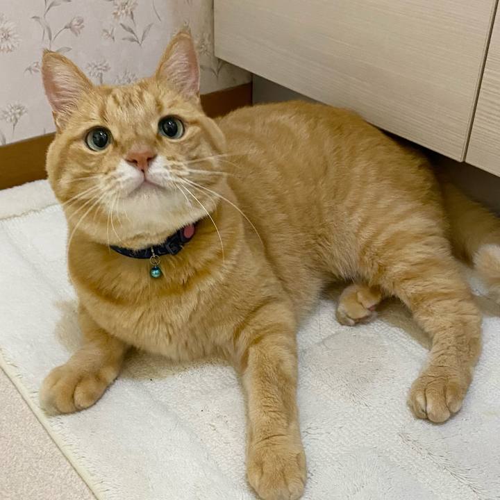 Fe23bb5d 6bb8 4c19 985a c5e1c0bef54d 1633045369468