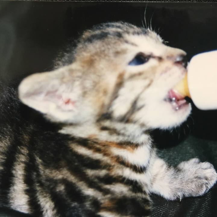 Fe23c82c fbc4 470f 9872 82fc2015f785 1524387734796