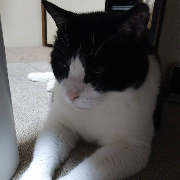 Fe2405b9 7de2 43af be98 805880c6631b 1534369774708