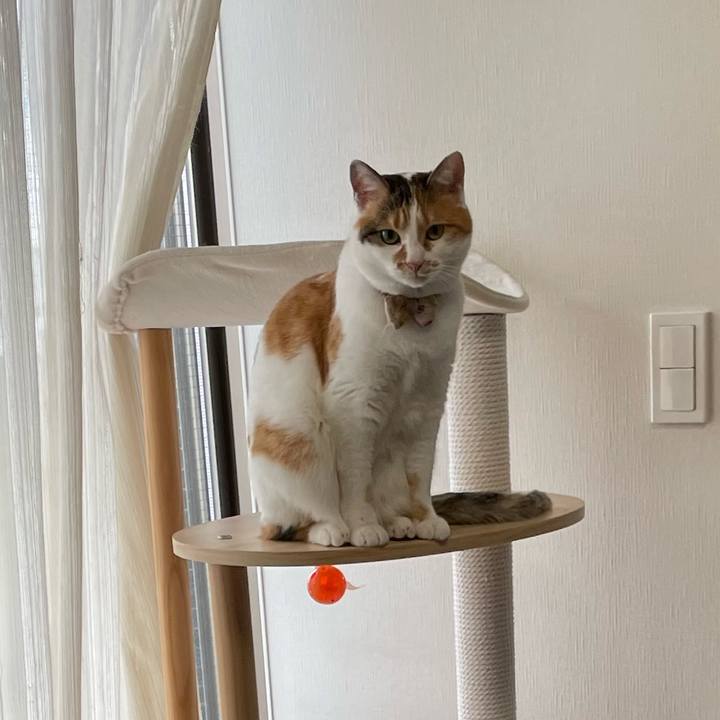 Fe242a33 89e4 421e 9a07 398e88f9495b 1645231929960