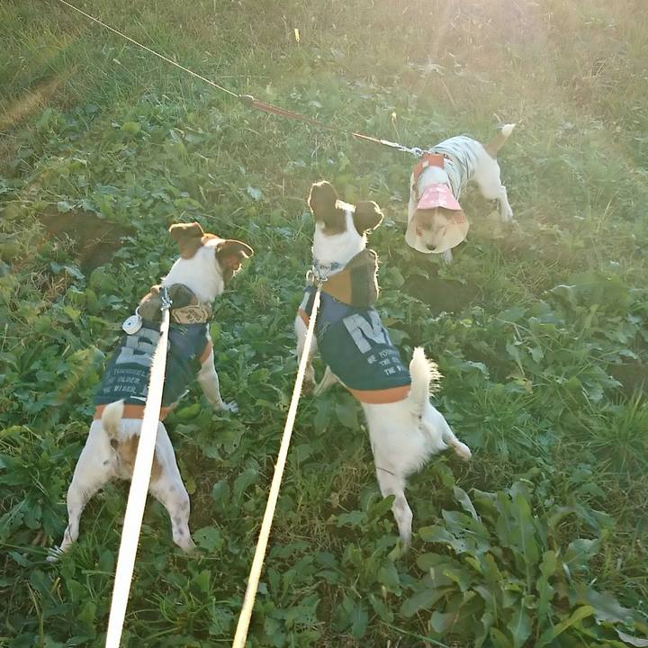 Fe243224 83f0 42bd 951f 848e7886dbd4 1575450477153