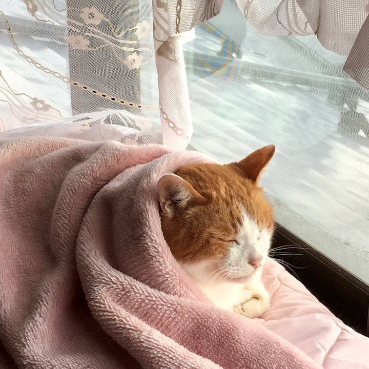 Fe2435f7 60f6 4e14 a7d7 05847c03bdec 1576655813223