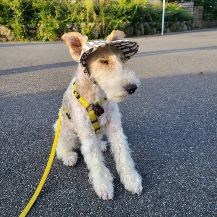 Fe2445f4 2bc3 4bee 81f4 56692a6defe4 1662937123205