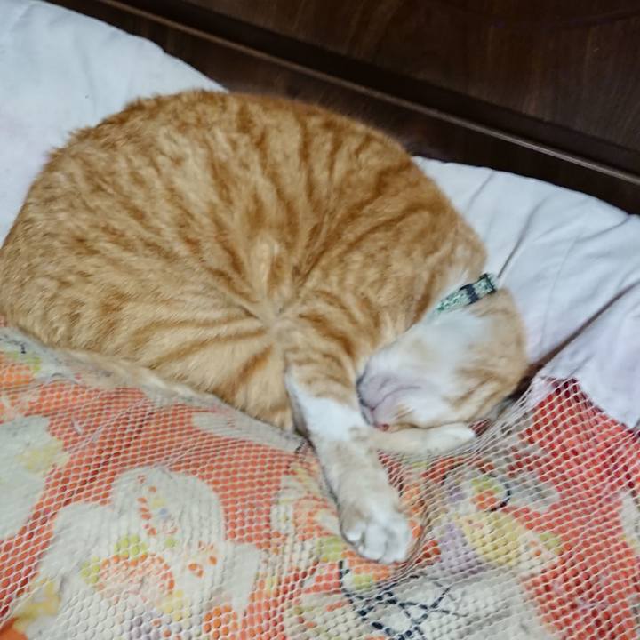 Fe246e92 f28e 436d 8318 3783e790864f 1586089205774