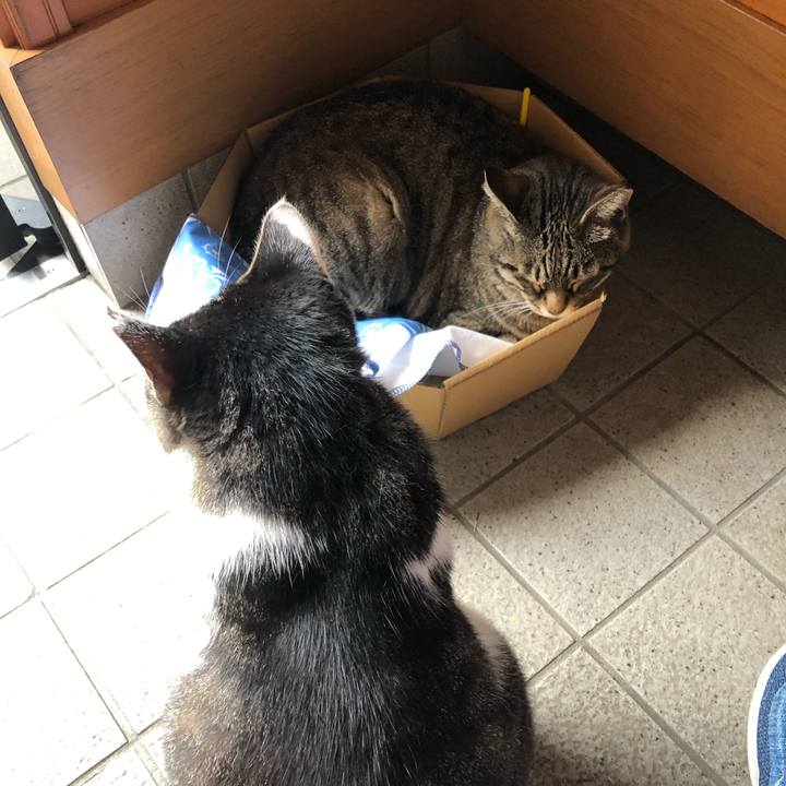 Fe24872c 148a 40a1 9997 55092014270e 1561384117617