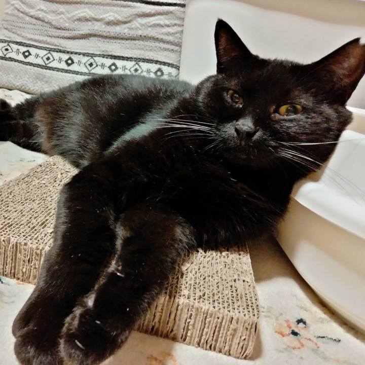 Fe25145e ea80 43cd a279 98d55627f948 1630768455321