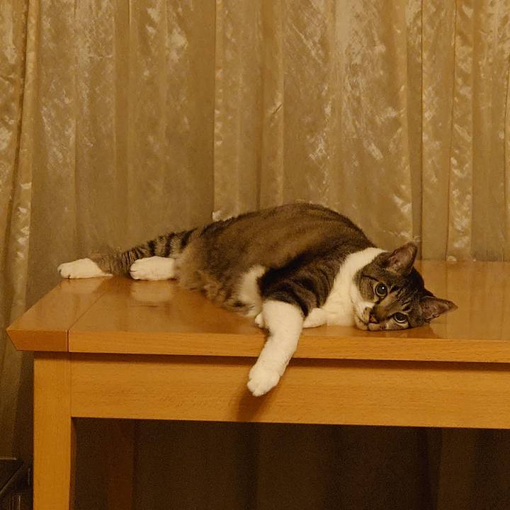 Fe2531cd 5774 4de1 82f5 628568023753 1722333606828